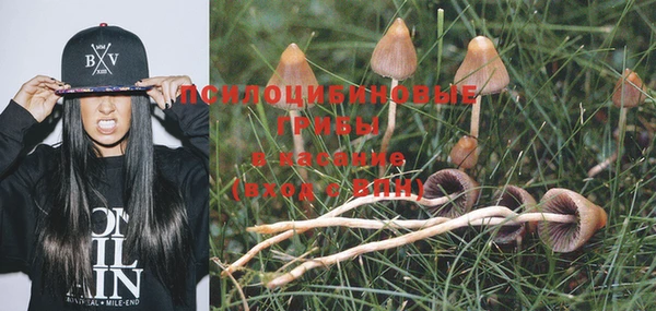 гашиш Михайлов