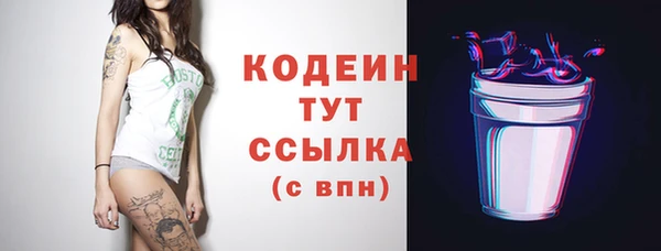 хмурый Михайловск