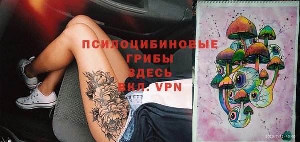 хмурый Михайловск