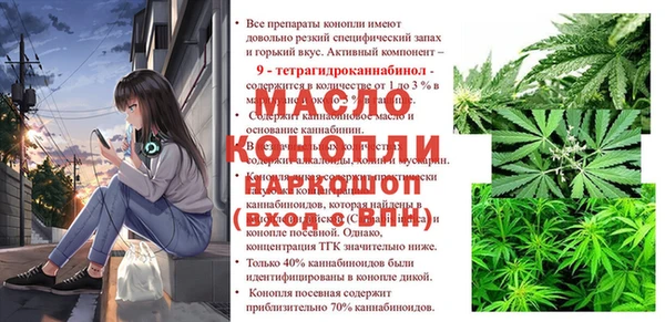 хмурый Михайловск